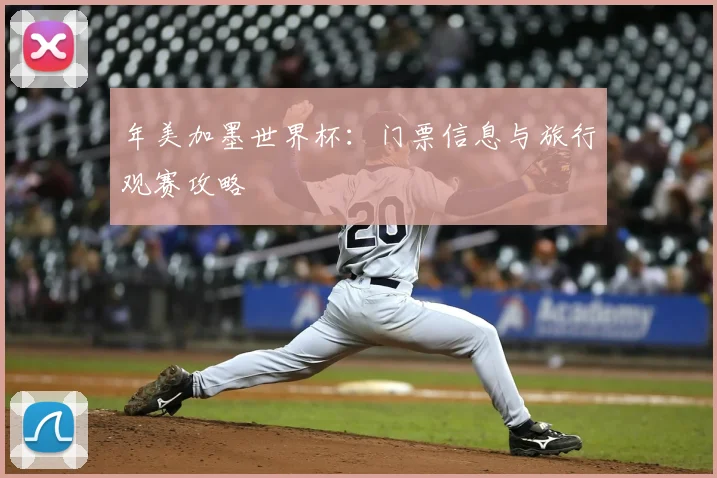 年美加墨世界杯：门票信息与旅行观赛攻略