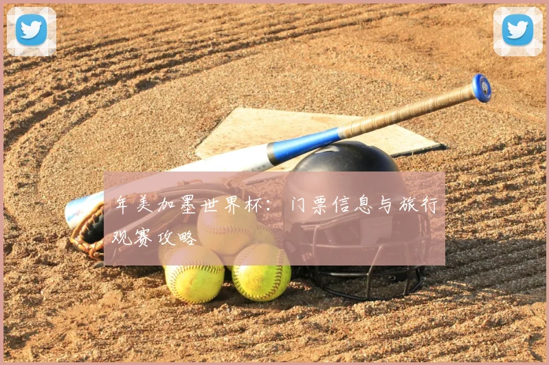 年美加墨世界杯：门票信息与旅行观赛攻略