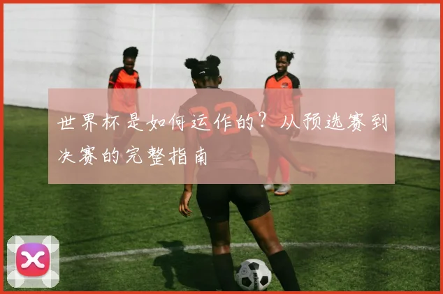 世界杯是如何运作的？从预选赛到决赛的完整指南