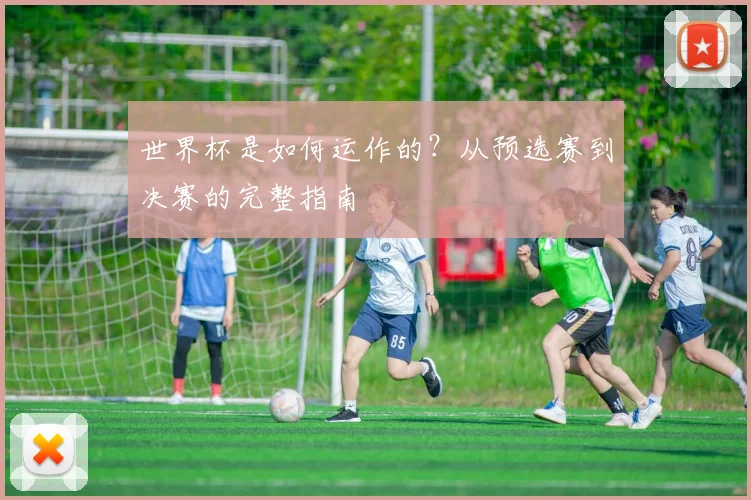 世界杯是如何运作的?从预选赛到决赛的完整指南