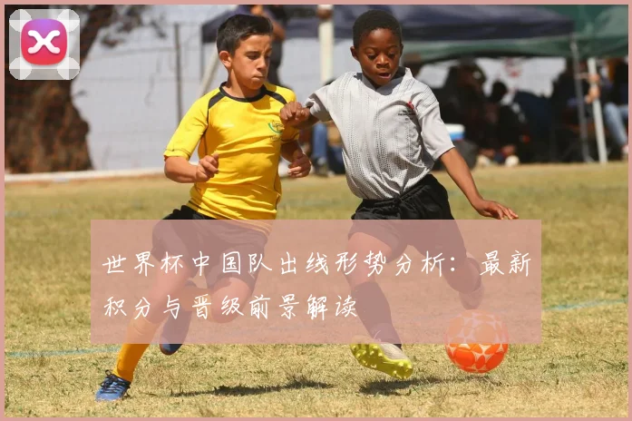 世界杯中国队出线形势分析:最新积分与晋级前景解读